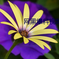 網黑爆料視頻