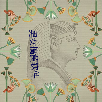 男女搞黄软件