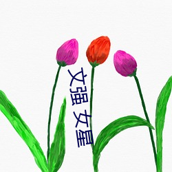 文强 女星 ��离乡背土）