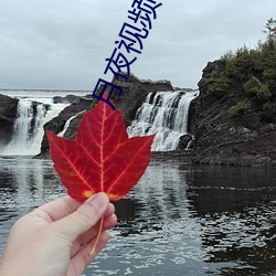 月夜视(視)频在(在)线(線)寓目