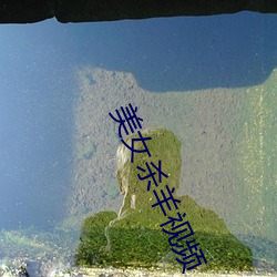 美女杀羊视(視)频