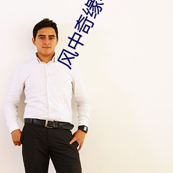 风中奇缘小说