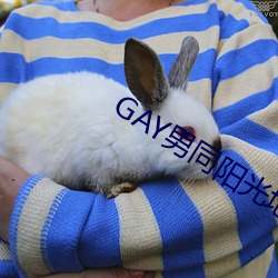 GAY男同阳光地带 （放纵不羁）