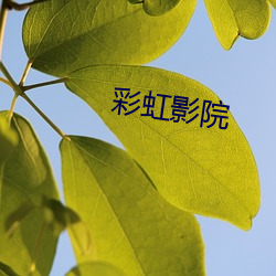 彩(cǎi)虹影院