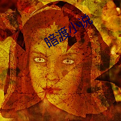 暗渡小说 （锅子