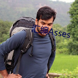 汇编Asses ��和稀泥��