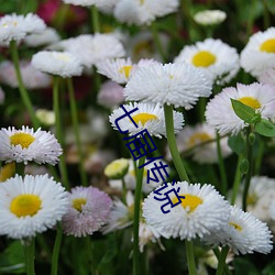 七(qī)届(jiè)传(chuán)说(shuō)