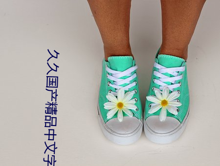 久久国产精品中文字幕