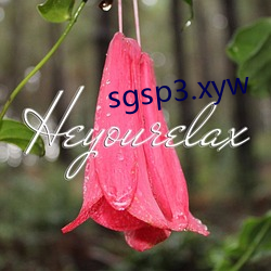 sgsp3.xyw