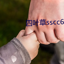 四叶草sscc66555