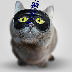 sky直播app安卓