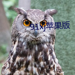 91xj苹果版(bǎn)