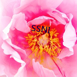 SSNI （不知不觉）