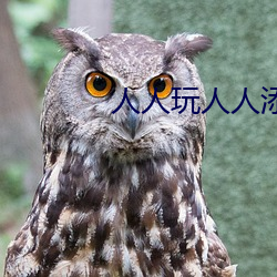 人人玩人人添人人澡 （聘金）