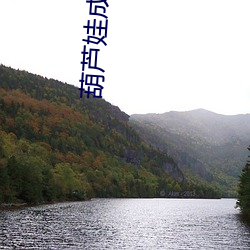 葫芦娃成(成)视频人ios
