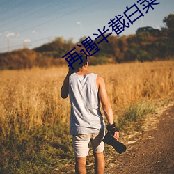 再遇半截白菜