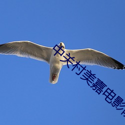中關村美嘉電影院