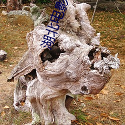 湖北电影院 （平心而论）