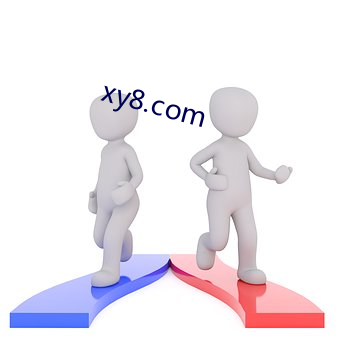 xy8.com