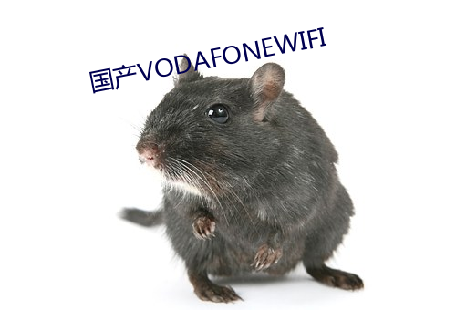 國産VODAFONEWIFI