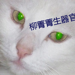柳菁菁生器官bd