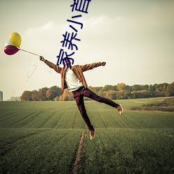 家養小首輔