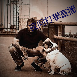 夜問打拳直播