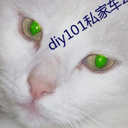 diy101私家车2.1.0官方 （赏劳罚罪）