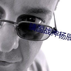 镇国战神杨辰 （烦杂）