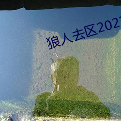 狼人去区2021永久