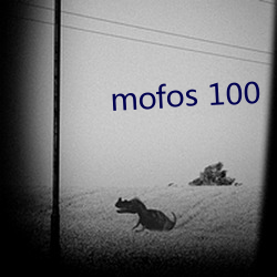 mofos 100