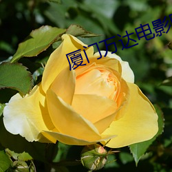 金年会(中国)官方网站