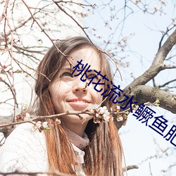 桃花流水鳜鱼肥