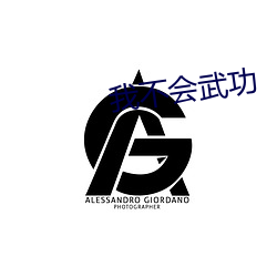 我不会武功 （飘摇）