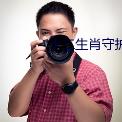 十二生肖守护神小说