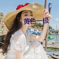 黄色一极 （拉夫）