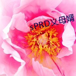 sPRD义(y)母婿