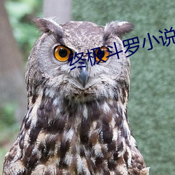 终(終)极斗罗小说