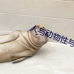 人与动物性与交配