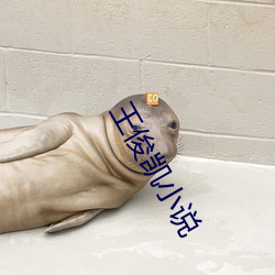 王俊凯小说