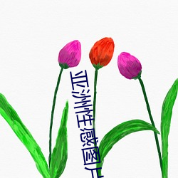 亚洲性感图片 （孵化
