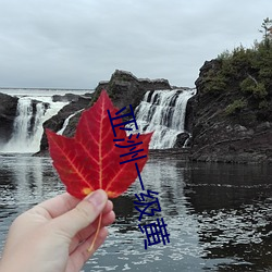 亚洲一级黄