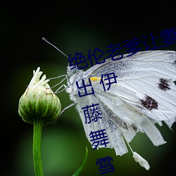 绝伦老爹(di)让妻发(fā)情危险(xiǎn)日夜袭还中(zhng)出 伊藤舞(wǔ)雪 (2021)  Th