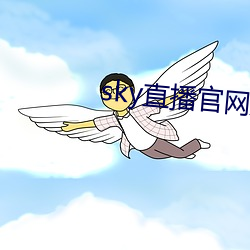 sky直播官网入口