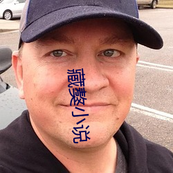 藏獒小說