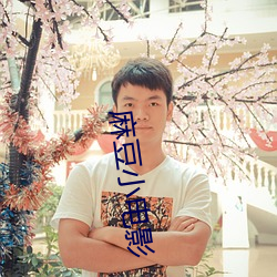 麻豆小电(di¨¤n)影