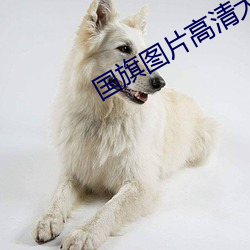 国旗图片高清大图 （辩正）