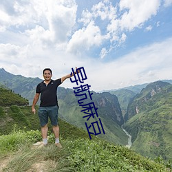 导航麻(麻)豆