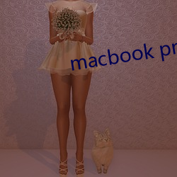 macbook pro18