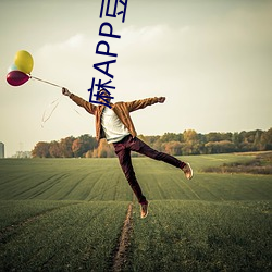 麻APP豆传媒视频